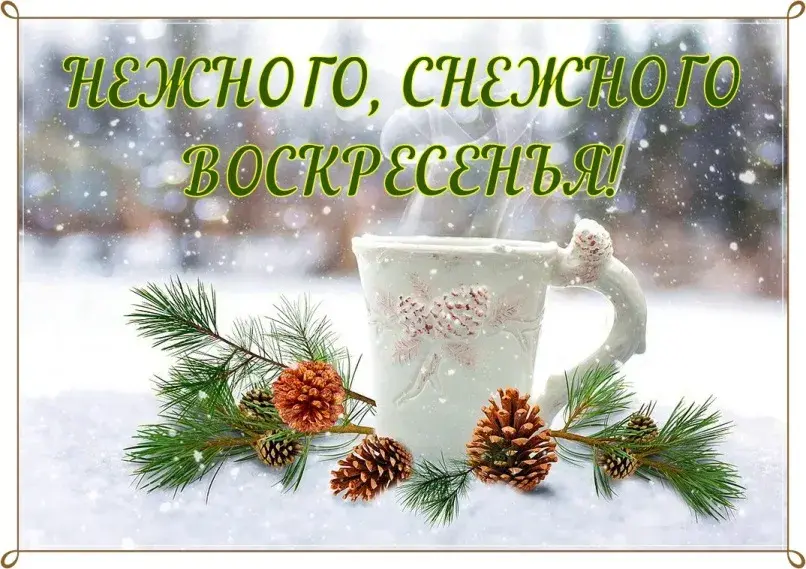 Открытка Открытки на воскресенье - Открытка с чашкой, шишками и хвоей на фоне снега | Красивая открытка #54