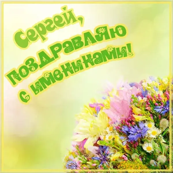 Открытка Открытки с именем Сергей - Открытка с цветами: розы, ромашки, васильки | Красивая открытка #212