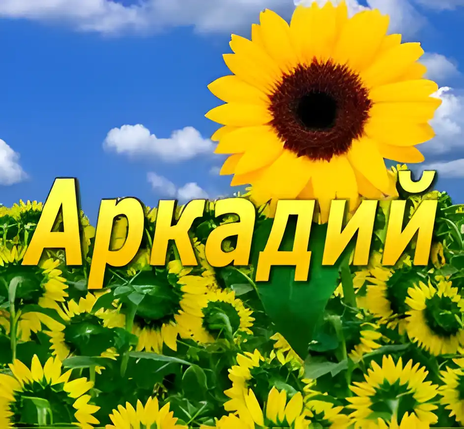 Открытка открытки с именем Аркадий  - Открытка с подсолнухами на фоне голубого неба | Красивая открытка #124