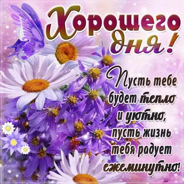 Открытка Хорошего дня - Открытка: Фиалки и надпись "С Днём!" | Красивая открытка #42