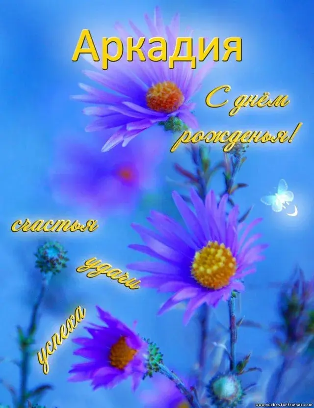 Открытка открытки с именем Аркадий  - Открытка с цветами: Фиолетовые цветы на синем фоне | Красивая открытка #36