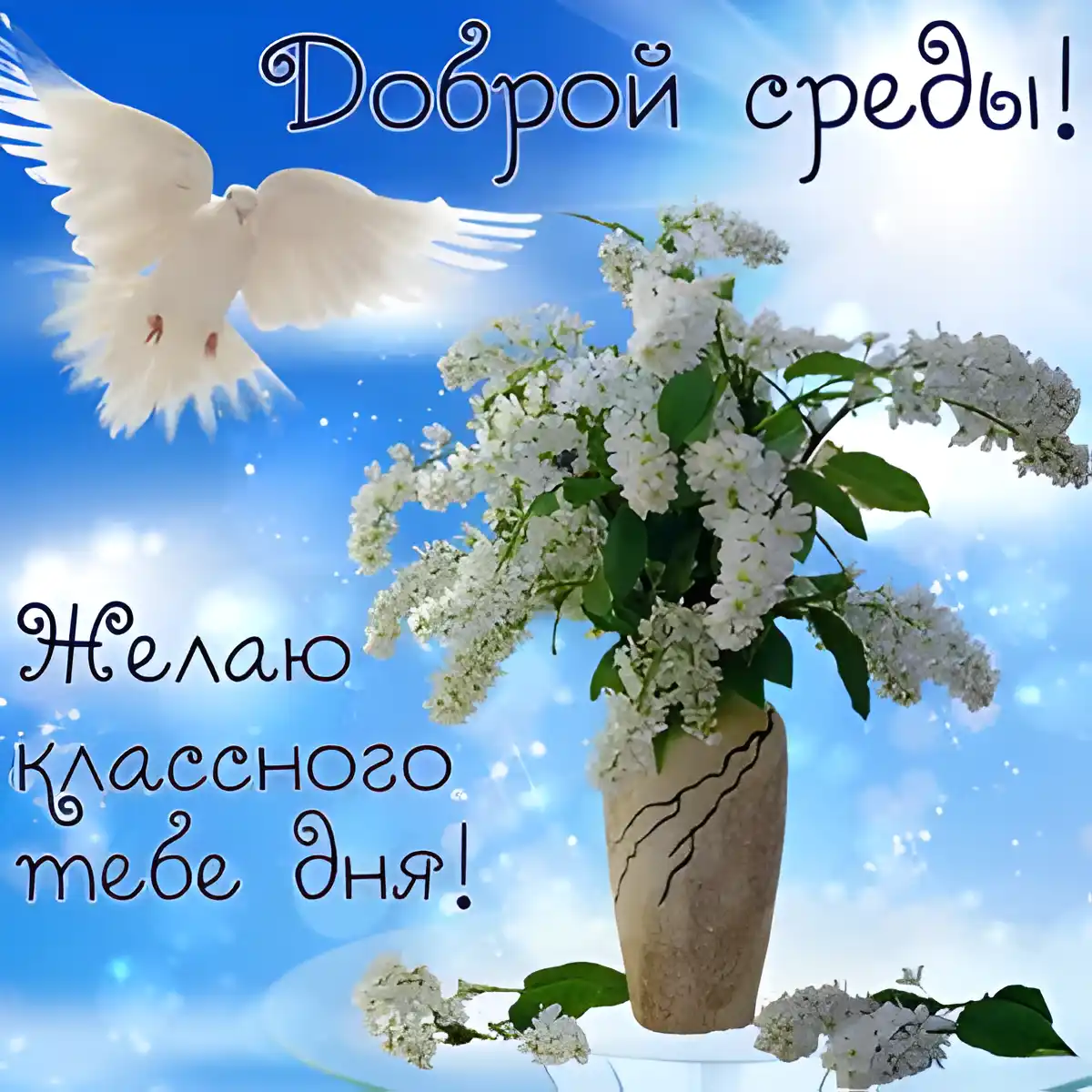 Открытка Открытки на среду - Открытка с цветущей сиренью и голубем | Красивая открытка #36