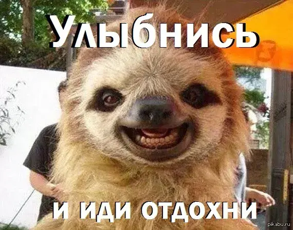 Открытка Открытки улыбнись - Ленивец с подписью: "Улыбнись и отдохни" | Красивая открытка #134