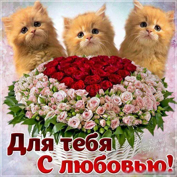 Открытка С любовью - Букет роз и котят: открытка с любовью | Красивая открытка #71