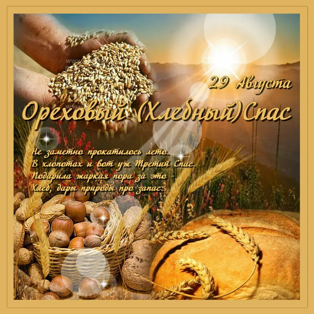 Открытка Ореховый спас - Открытка "С Днём Художника!": Золотая Осень, Зерно, Хлеб | Красивая открытка #67