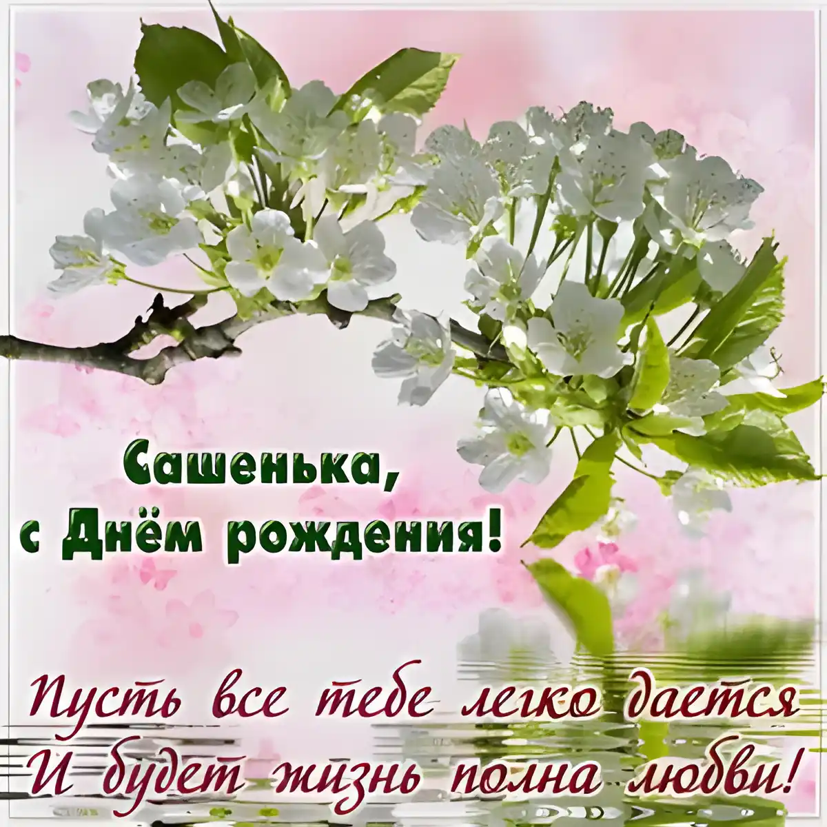 Открытка Открытки с именем Александра - С Днём рождения, Сашенька! Открытка с цветами | Красивая открытка #108