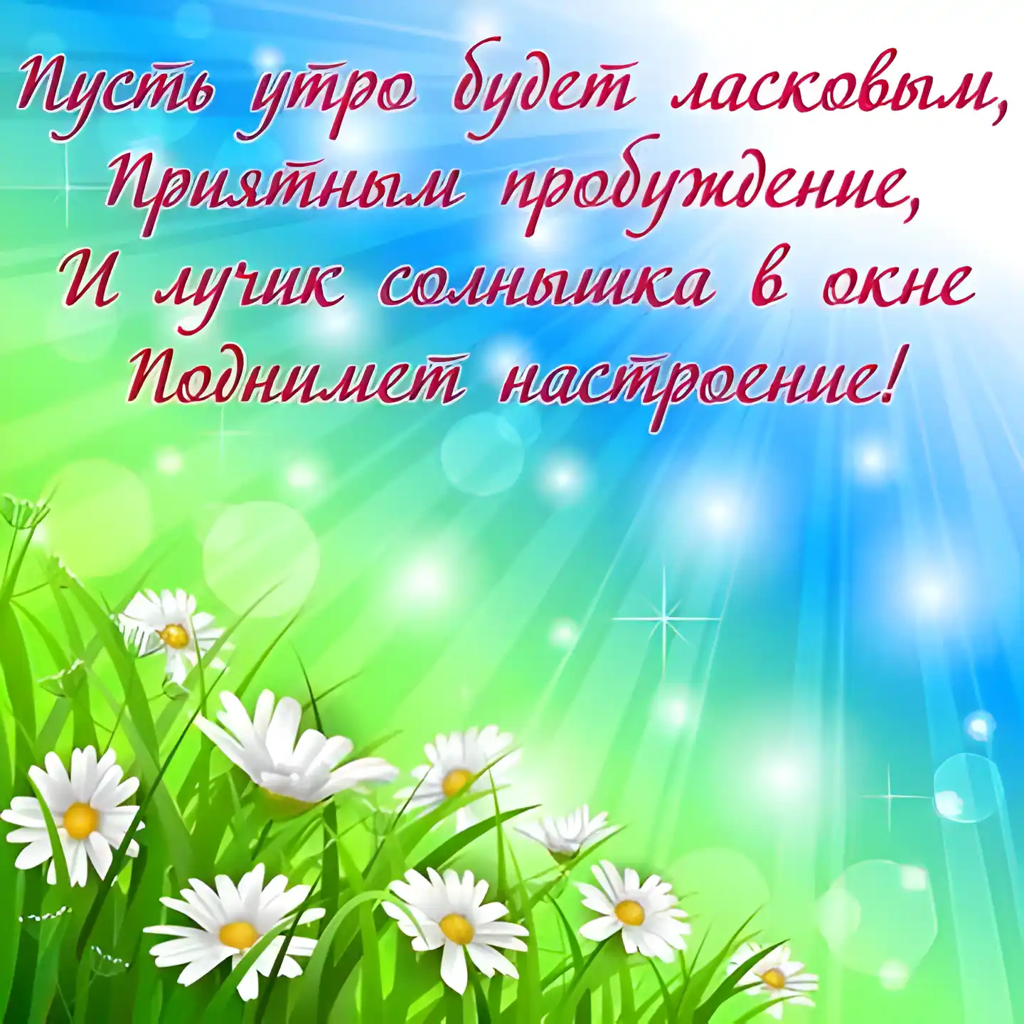 Открытка С ромашками - Полевые цветы на лугу. Летняя открытка. | Красивая открытка #82