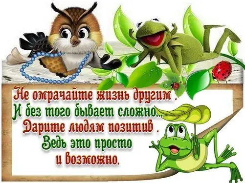 Открытка Улыбнись - Сова и лягушка: Открытка с птицей и земноводным | Красивая открытка #105