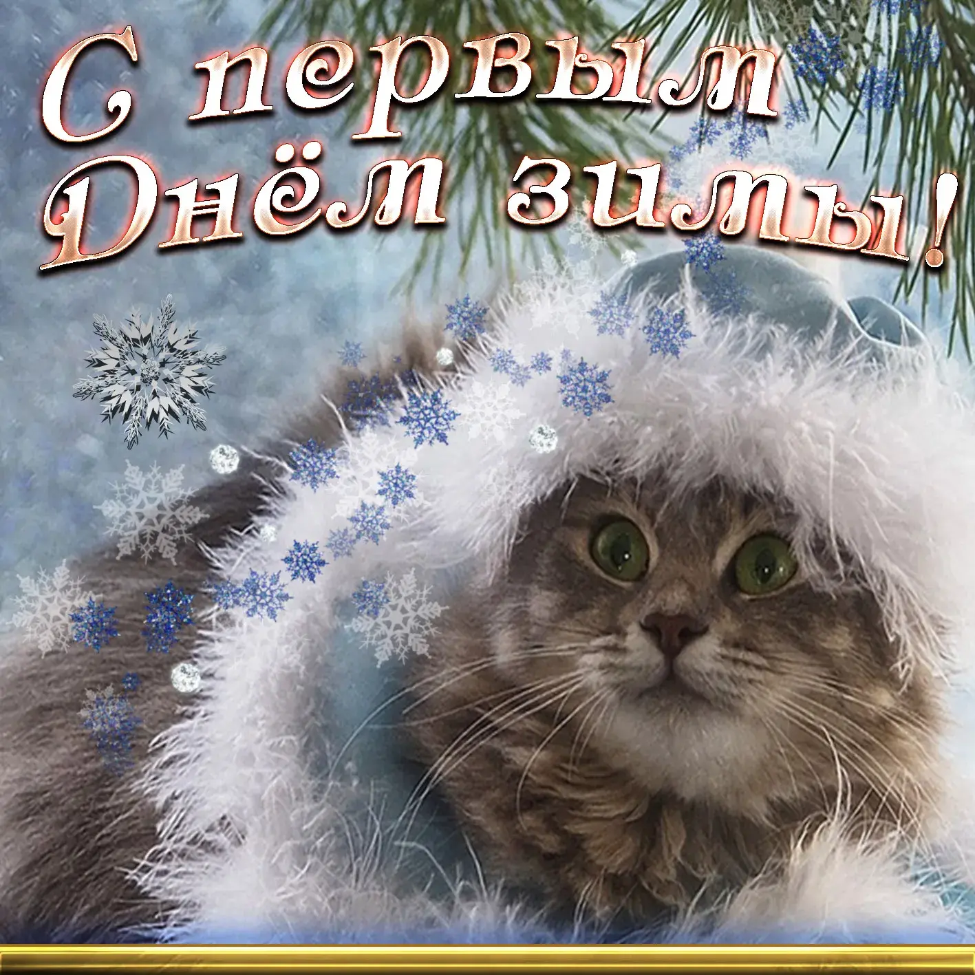 Открытка С первым днём зимы - Котофей в шапке: Новогоднее поздравление! | Красивая открытка #60