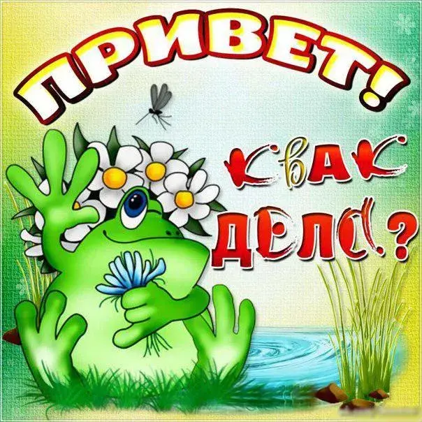 Открытка Привет - Открытка с лягушкой и цветами | Красивая открытка #30