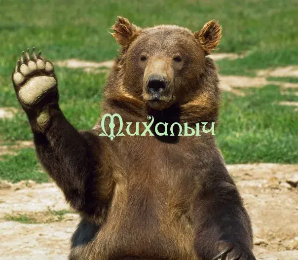Открытка Открытки с именем Михаил  - Медведь машет лапой: Открытка с милым бурым медведем | Красивая открытка #106