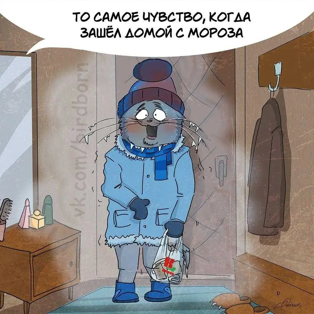 Открытка времена года - Замерзший котик в свитере и шапке | Красивая открытка #65