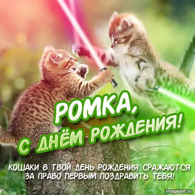 Открытка Открытки с именем Роман - Открытка с котами: С Днем Рождения! | Красивая открытка #124