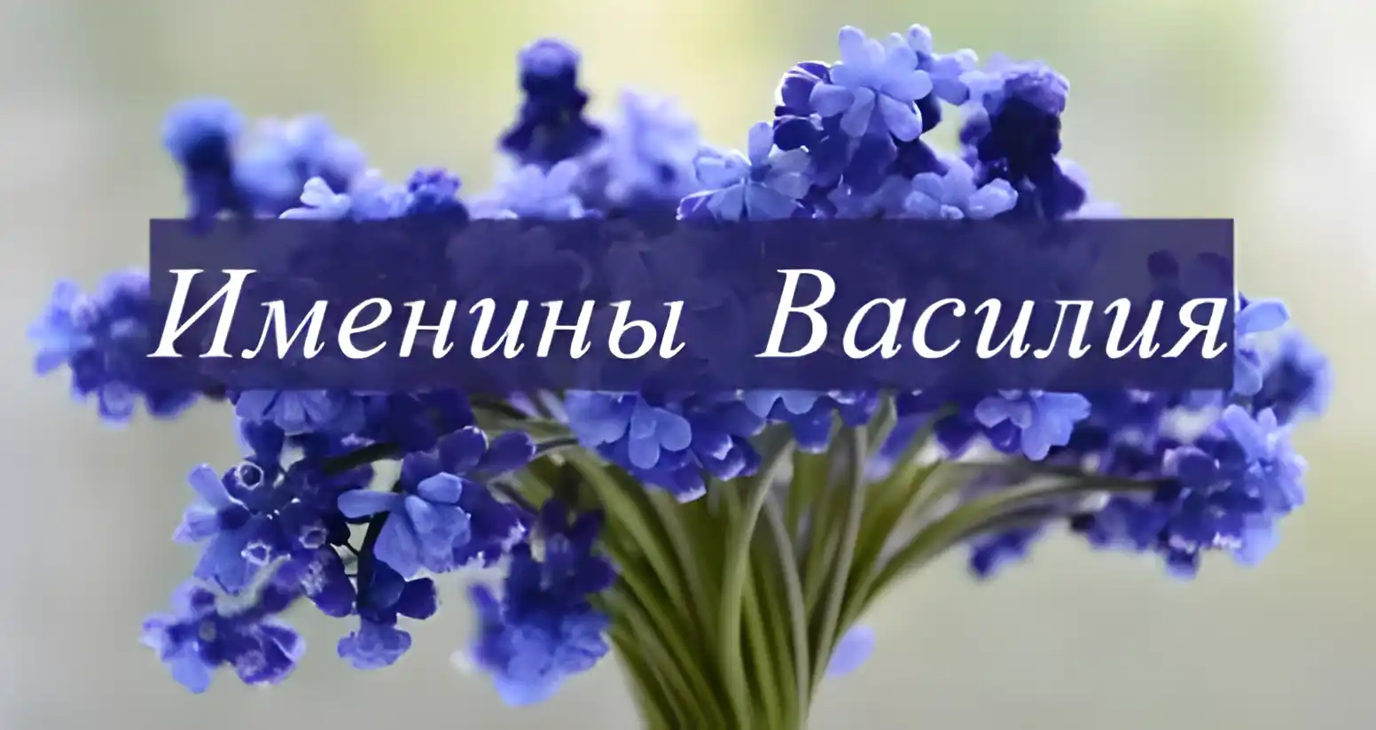 Открытка открытки с именем Василий - Букет сирени: открытка с днем рождения | Красивая открытка #50