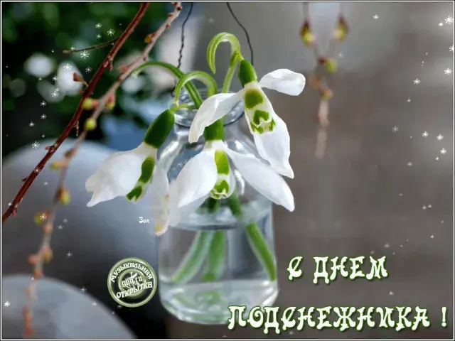 Открытка С днём подснежника - Подснежник в вазе: весенняя открытка с цветами | Красивая открытка #23