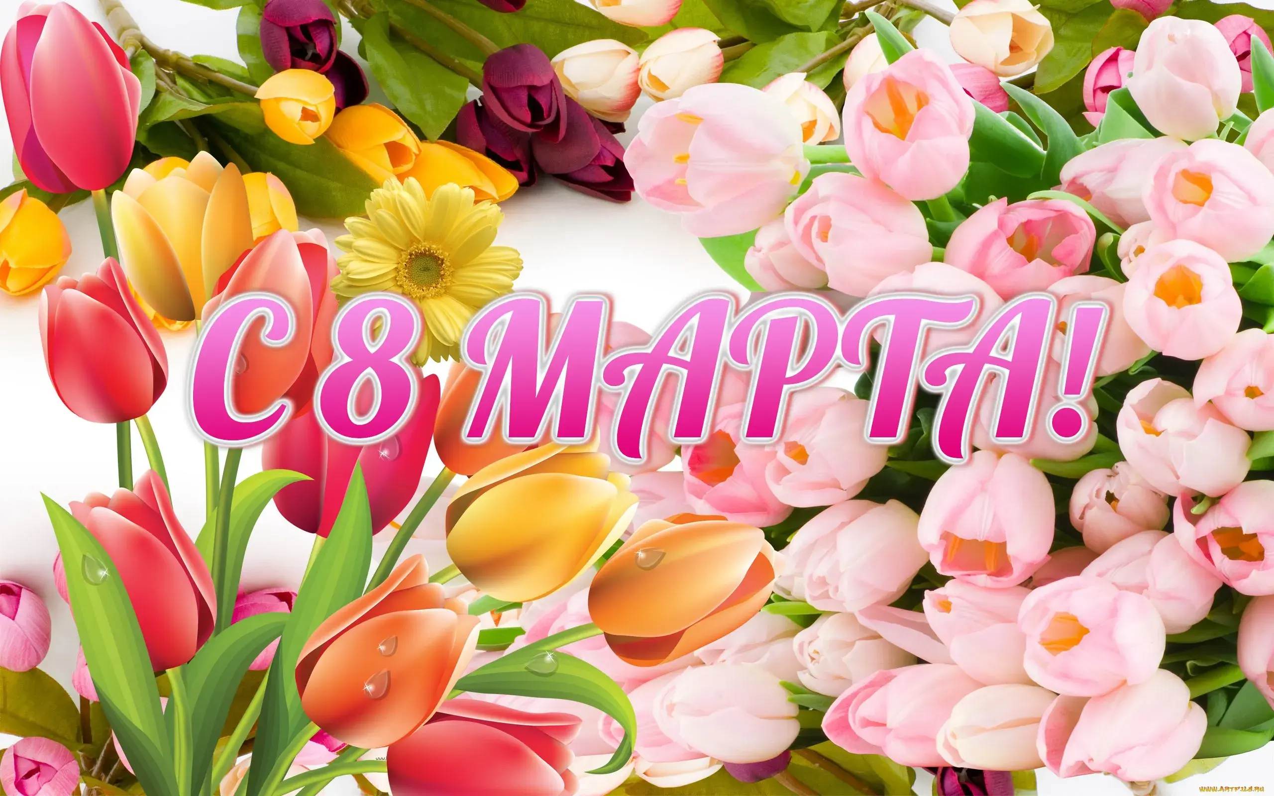 Открытка 8 марта - Открытка с тюльпанами и подписями «С 8 Марта» | Красивая открытка #282