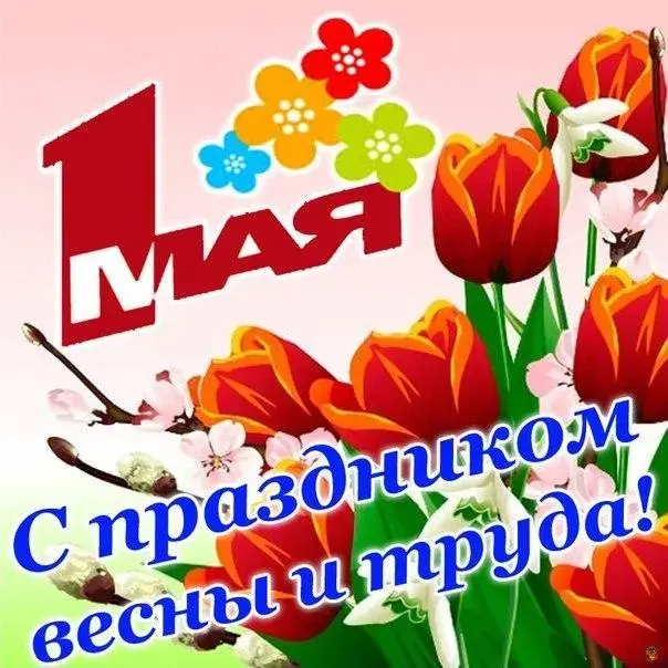 Открытка 1 мая - Открытка с тюльпанами и надписью "1 Мая" | Красивая открытка #2