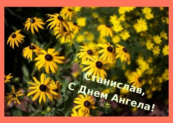 Открытка Открытки с именем Станислав  - Полевые цветы. Открытка с днем ангела. | Красивая открытка #245
