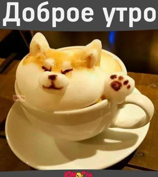 Открытка открытки с добрым утром - Кофе-котик: милая открытка с утренним кофе | Красивая открытка #28