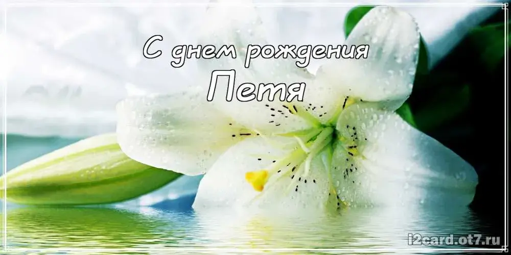 Открытка Открытки с именем Петр - Открытка: Белая лилия с надписью "С днем рождения" | Красивая открытка #258