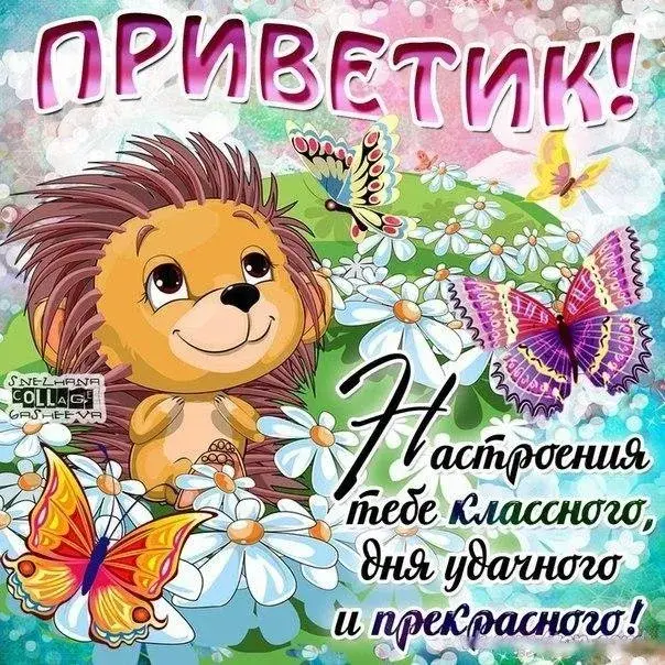 Открытка Привет - Открытка с ежом и полевыми цветами | Красивая открытка #43