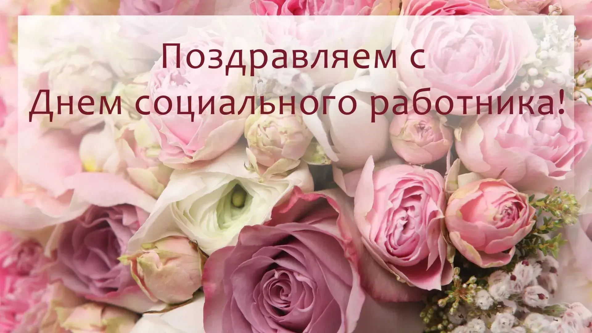 Открытка С днём социального работника - Розовые розы: открытка с нежными цветами | Красивая открытка #39