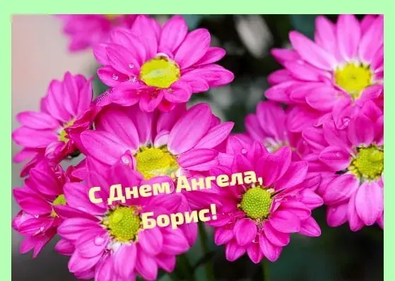Открытка открытки с именем Борис - Розовые цветы: поздравительная открытка | Красивая открытка #170