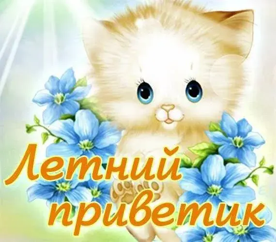 Открытка летний привет - Летний приветик | Красивая открытка #44