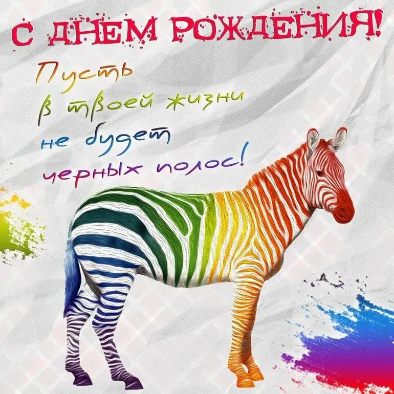 Открытка с днём рождения прикольные - Зебра с днем рождения! | Красивая открытка #16