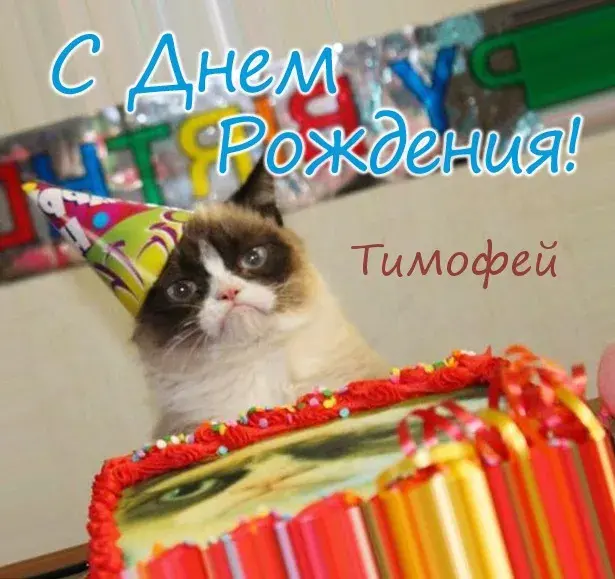 Открытка Открытки с именем Тимофей - Кот с тортом: Открытка с Днем рождения | Красивая открытка #252