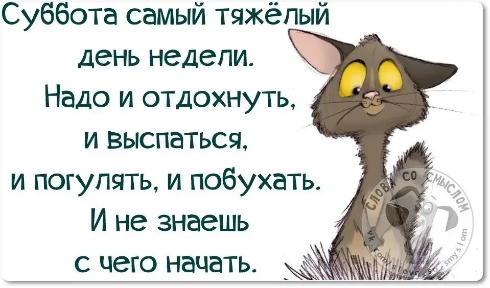 Открытка Выходные - Забавный кот с ушками - открытка с днем недели | Красивая открытка #38