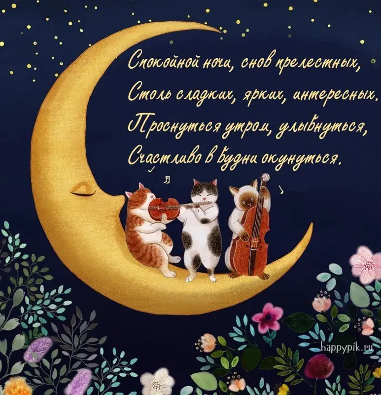 Открытка Доброй ночи - Открытка с котами, играющими на музыкальных инструментах | Красивая открытка #24