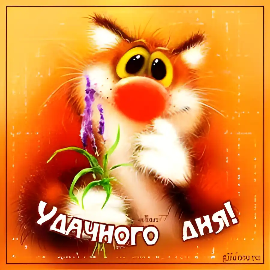 Открытка Удачи - Открытка с котенком на день рождения | Красивая открытка #171
