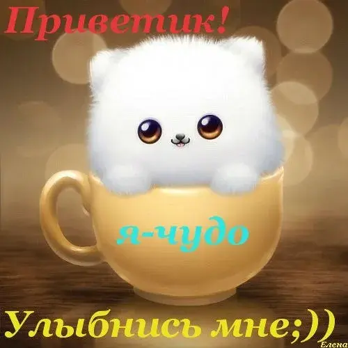 Открытка Улыбнись - Милый котик в чашке: открытка с пушистым сюрпризом | Красивая открытка #124