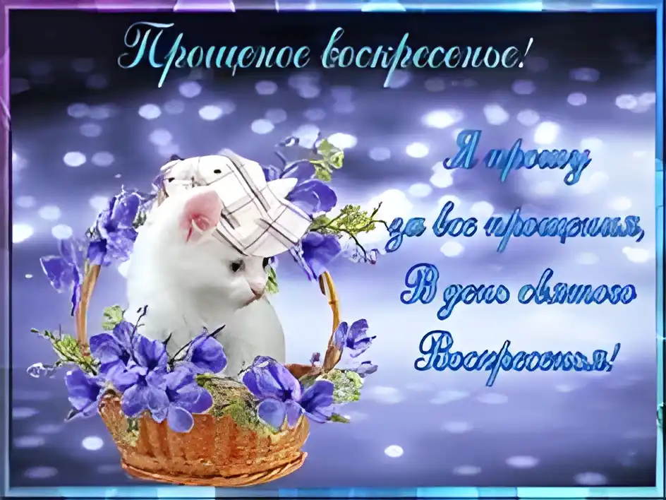 Открытка Прощённое воскресенье - Котенок в корзинке с цветами: открытка | Красивая открытка #99