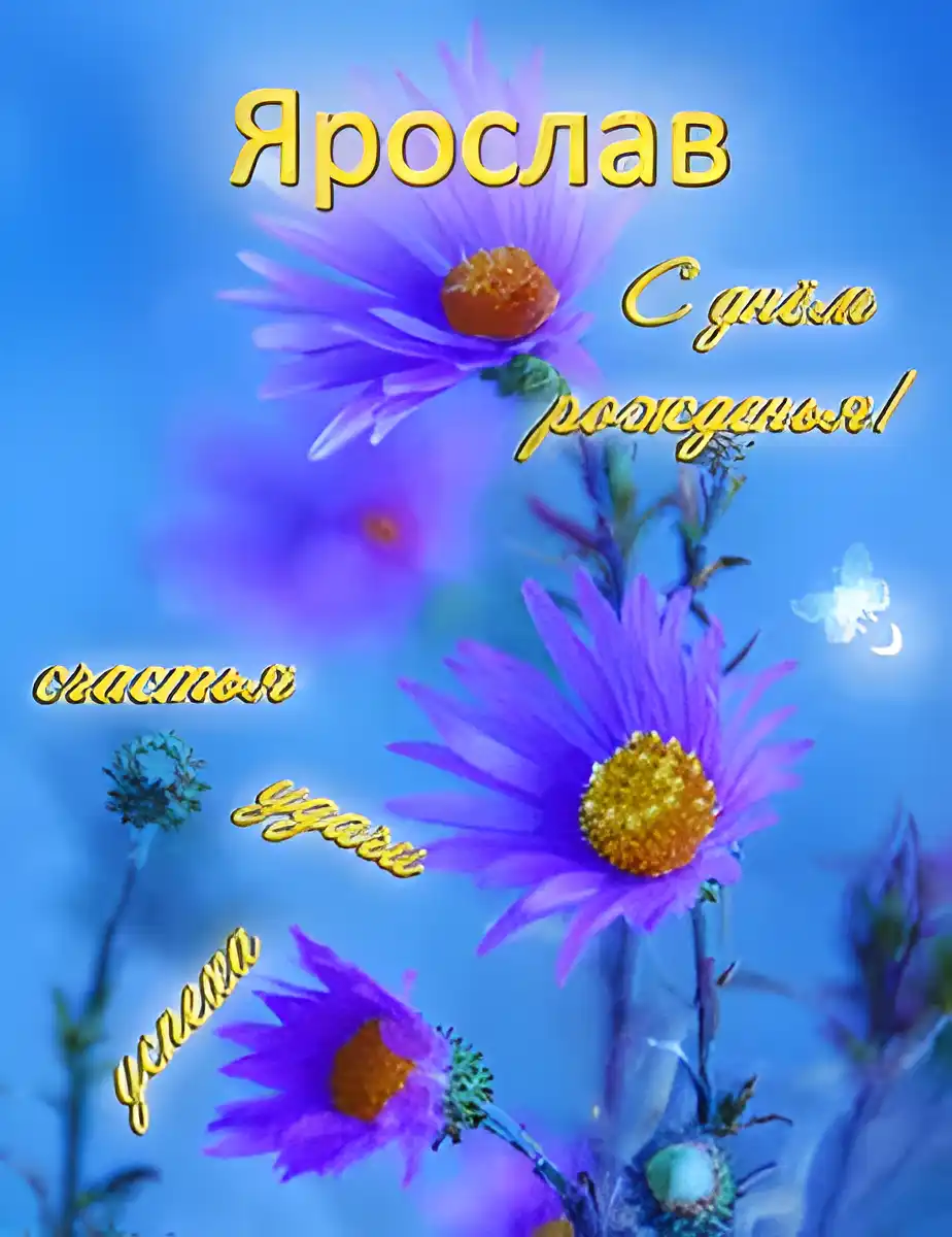 Открытка Открытки с именем Ярослав  - Фиолетовые цветы на синем фоне | Красивая открытка #89