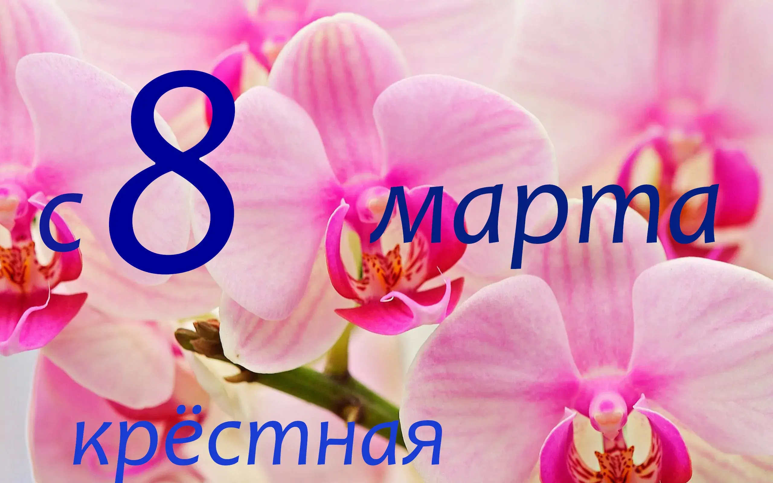 Открытка 8 марта - Открытка с 8 марта: Нежные розовые орхидеи | Красивая открытка #336