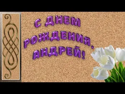 Открытка открытки с именем Андрей - Поздравление с Днем Рождения Андрею: белые тюльпаны | Красивая открытка #108