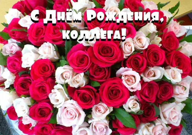 Открытка С Днём рождения коллеге - Букет роз: красные и белые цветы | Красивая открытка #21