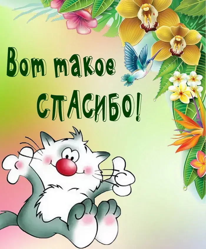 Открытка Спасибо - Открытка с Котофей: цветы, тропики | Красивая открытка #2