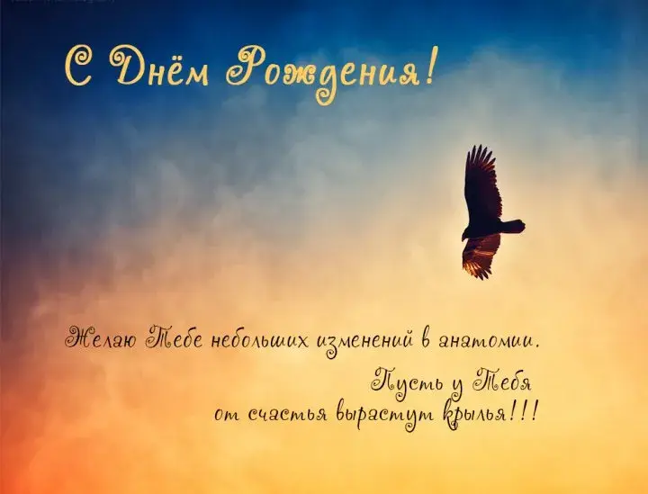 Открытка Для любимого - Открытка: Птица на фоне заката - С Днём рождения! | Красивая открытка #42