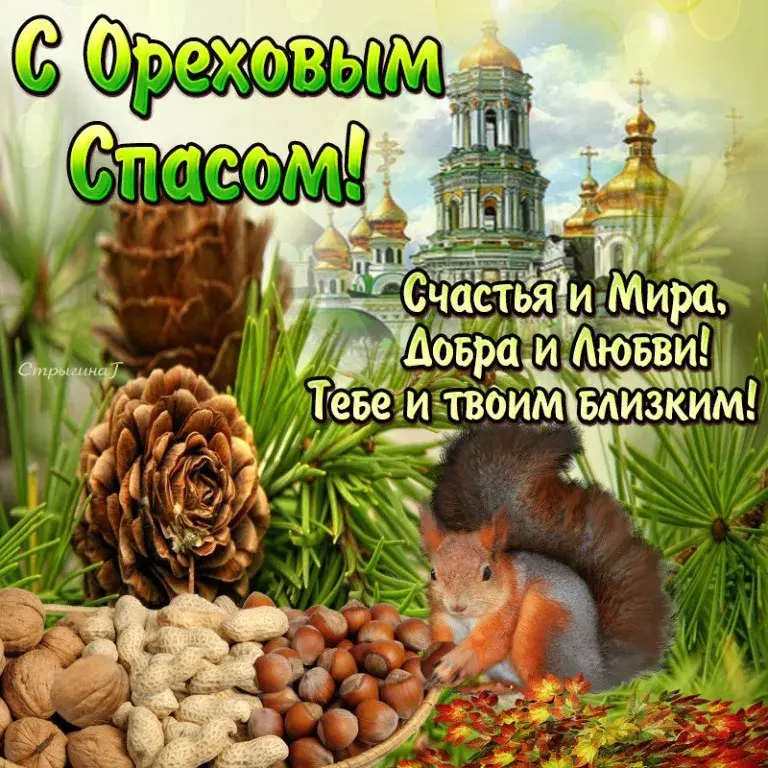 Открытка Ореховый спас - Открытка с белкой и шишками  С Днем! | Красивая открытка #158