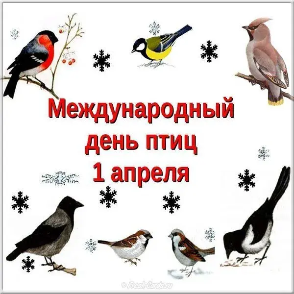 Открытка С днём птиц - Открытка с птицами ко дню птиц 1 апреля | Красивая открытка #11