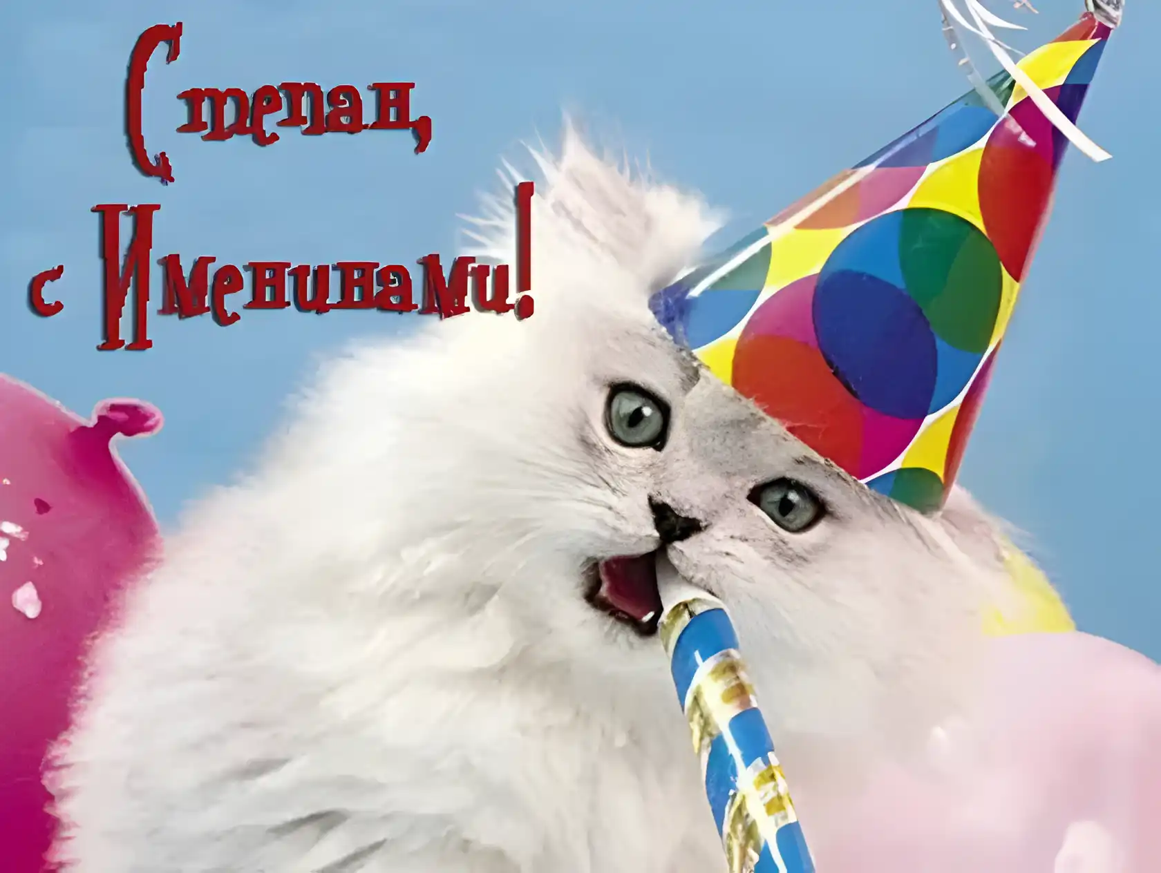 Открытка Открытки с именем Степан - Котенок на день рождения: забавная открытка с котенком | Красивая открытка #225