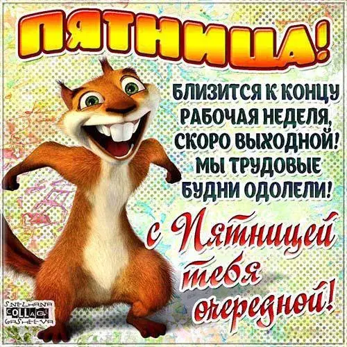Открытка Открытки на пятницу - Открытка с белкой: С Днем!  Праздничные поздравления | Красивая открытка #142