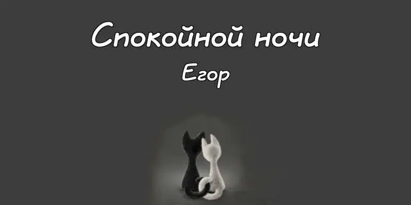Открытка открытки с именем Егор - Открытка с черным и белым котами | Красивая открытка #91