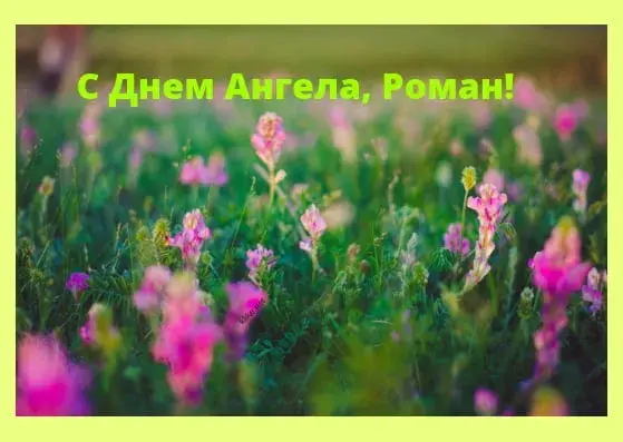 Открытка Открытки с именем Роман - Полевые цветы: открытка с днем рождения | Красивая открытка #119
