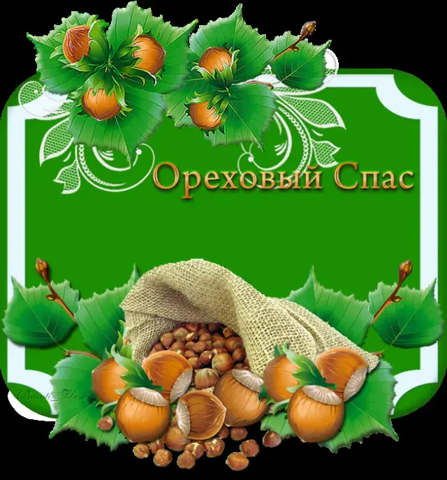 Открытка Ореховый спас. - Открытка с орехами и осенними листьями | Красивая открытка #81