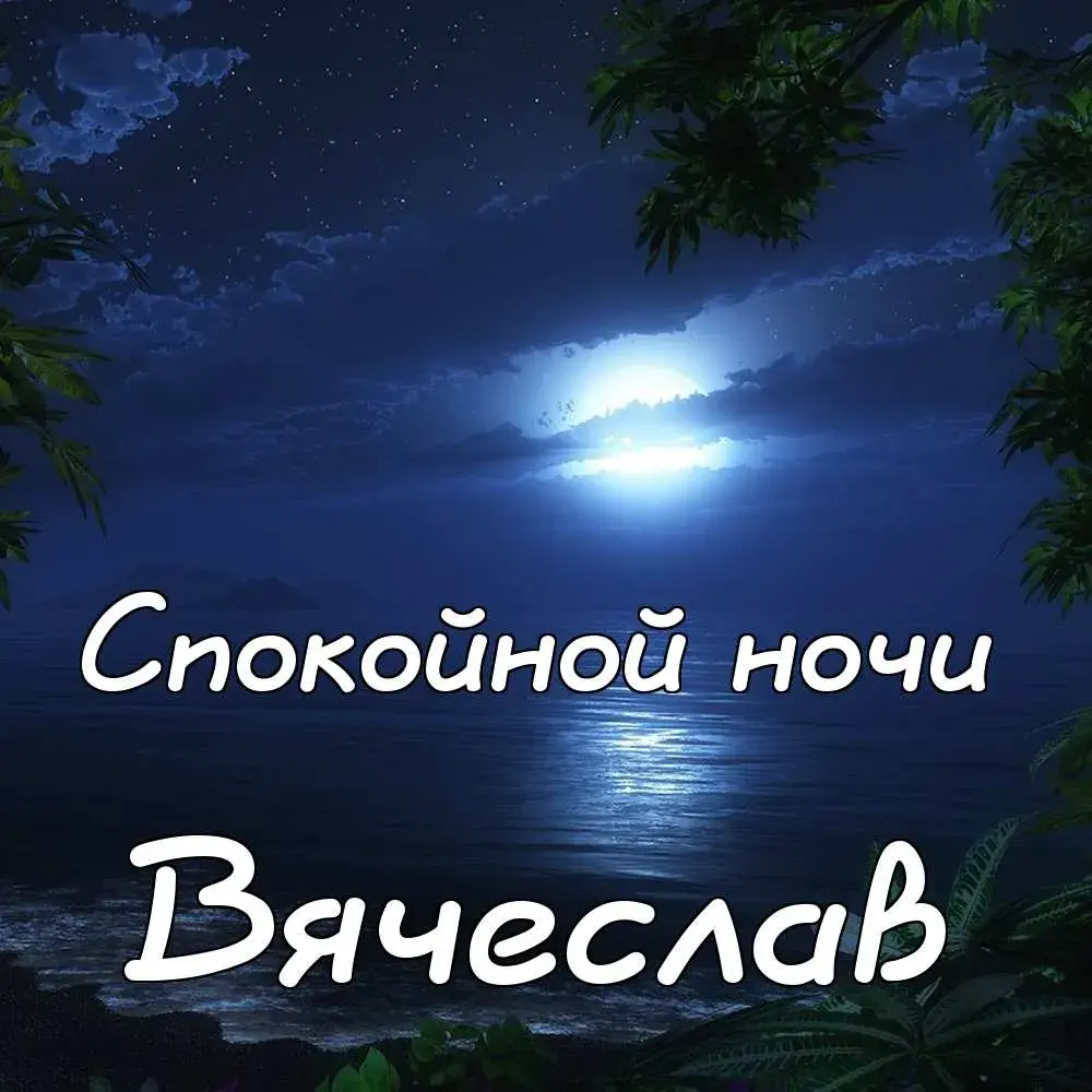 Открытка открытки с именем Вячеслав - Ночная открытка: луна над морем, пальмы | Красивая открытка #155