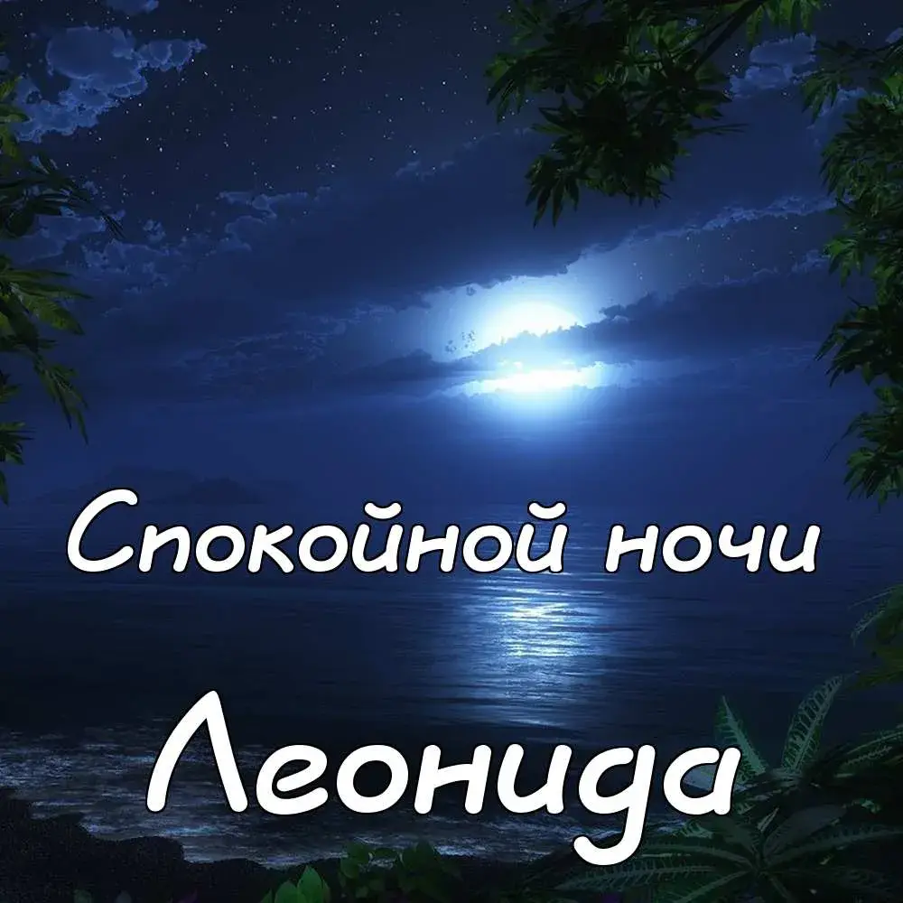 Открытка Открытки с именем Леонид  - Ночная открытка: луна над морем, зелень | Красивая открытка #56